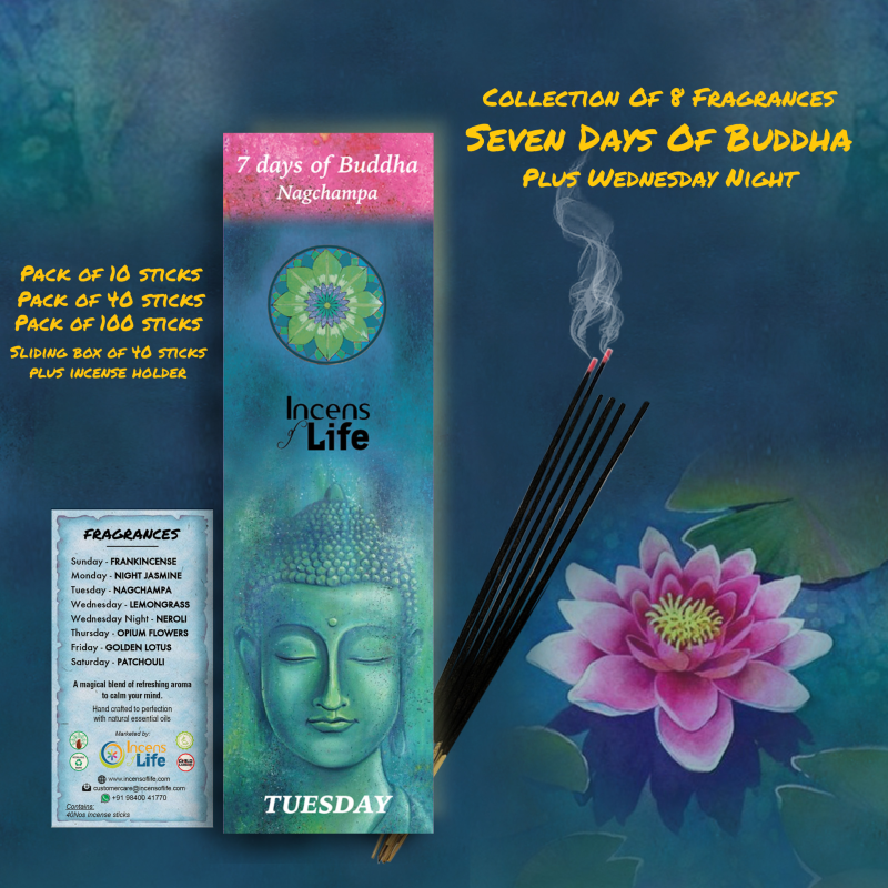 7 Days of Buddha Incense - 3. TUESDAY - Image 2