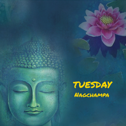 7 Days of Buddha Incense - 3. TUESDAY