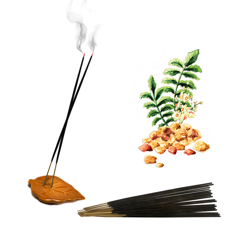 7 Days of Buddha Incense - 1. SUNDAY - Image 3