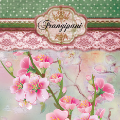 Vintage Incense - Frangipani