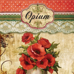 Vintage Incense - Opium