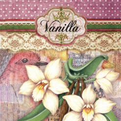 Vintage Incense - Vanilla