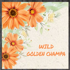 Wild Color Incense - Golden Champa