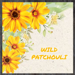Wild Color Incense - Patchouli