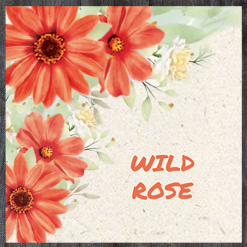 Wild Color Incense - Rose