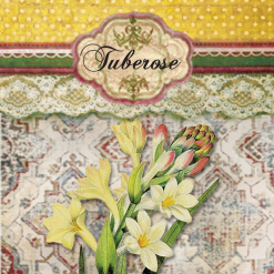 Vintage Incense - Tuberose