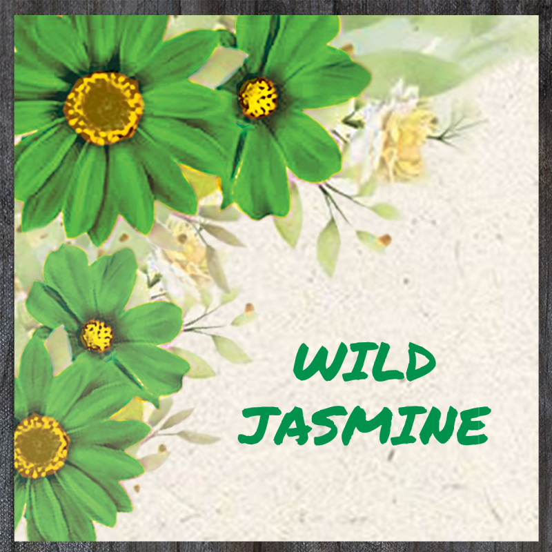 Wild Color Incense - Jasmine