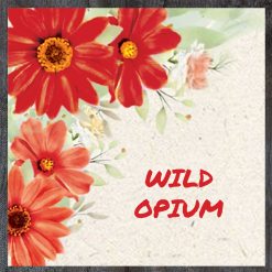 Wild Color Incense - Opium
