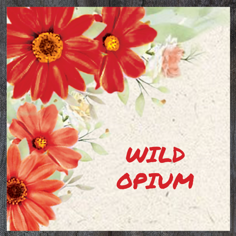 Wild Color Incense - Opium